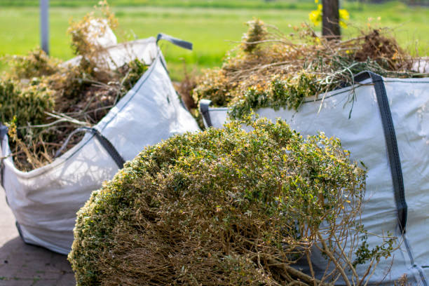 Professional Junk Removal in Le Mars, IA